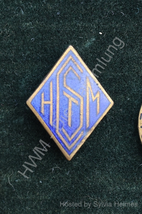 EHC St. Moritz Anstecknadel