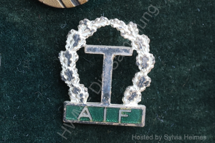 Tingsryds AIF Anstecknadel