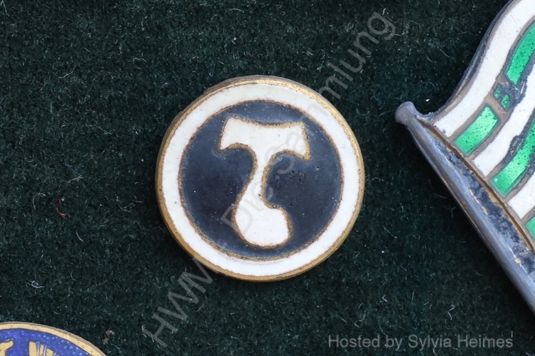 Hämeenlinnan Tarmo Anstecknadel