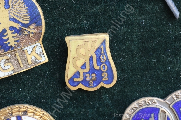 Södertälje SK Anstecknadel