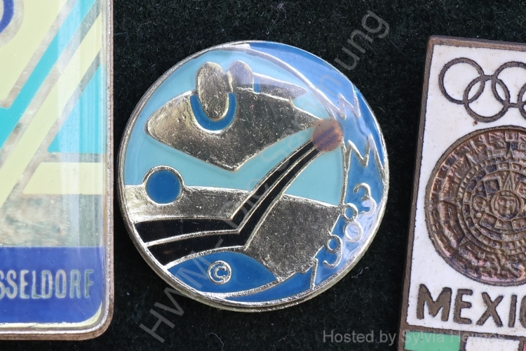 WM 1983 Anstecknadel