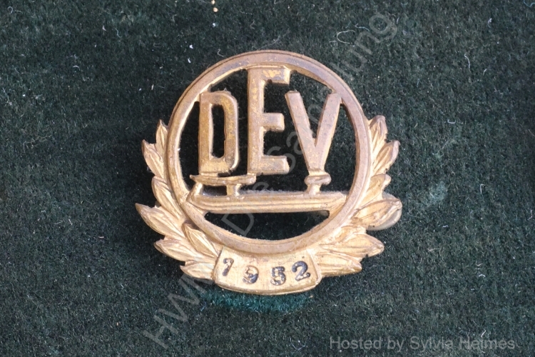 DEV 1952 Lorbeeren Anstecker 