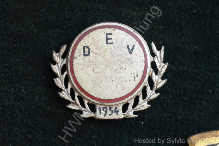 DEV 1954 hell Anstecknadel