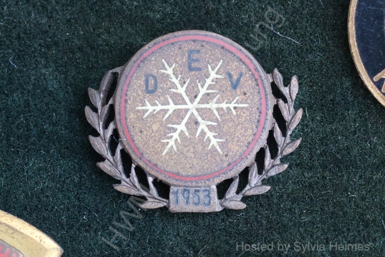 DEV 1954 dunkel Anstecknadel
