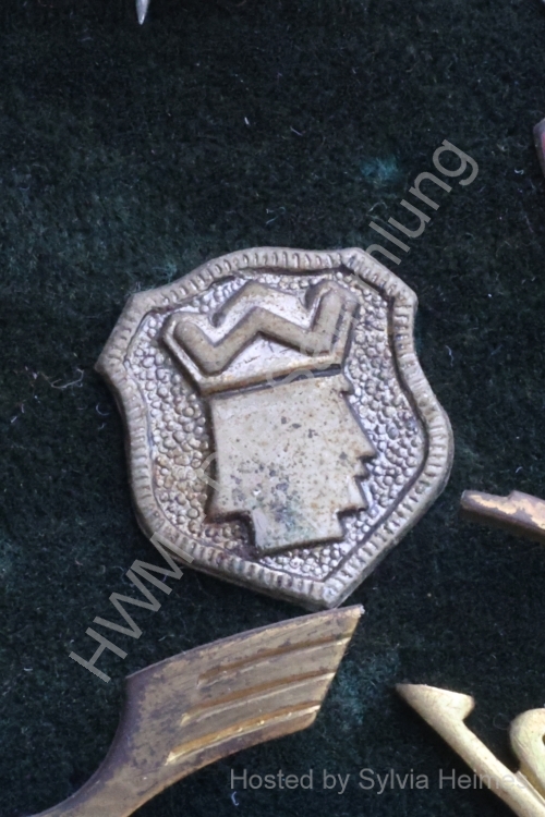 kleines Wappen mit Kopf und W Anstecknadel