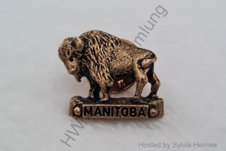 Büffel Manitoba Anstecker