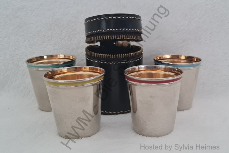 4 Pinnchen in Lederhülle