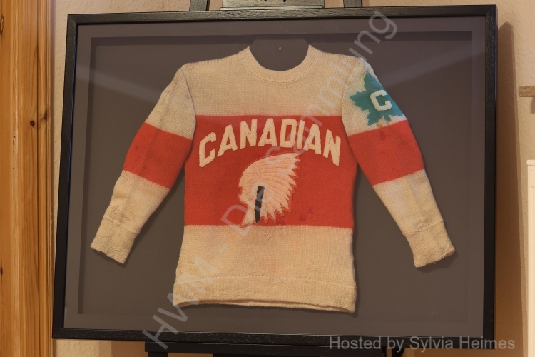 Kindertrikot der German Canadians im Rahmen