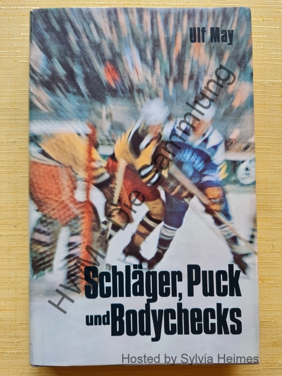 Schläger Pucks und Bodychecks