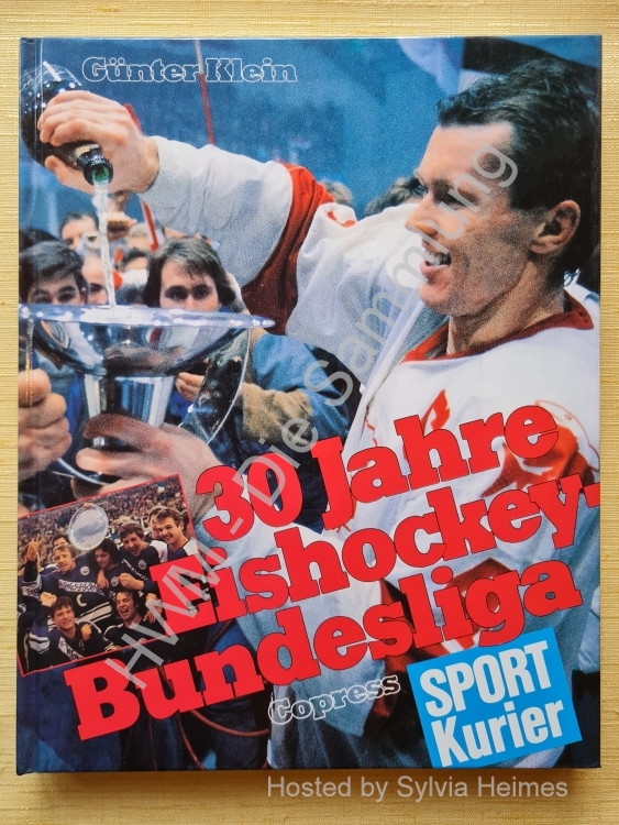 30 Jahre Eishockeybundesliga 