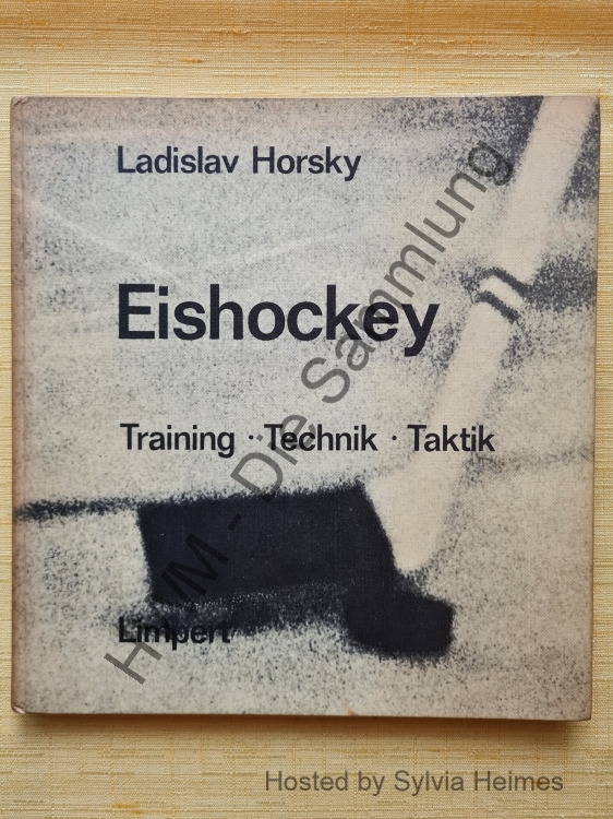 Eishocley Training - Technik - Taktik
