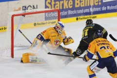 20260301-3683