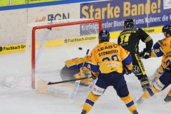 20260301-3685
