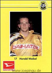 Harald Waibel